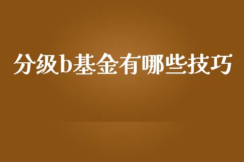 分级b基金有哪些技巧_https://wap.ycdhulan.com_国际财经_第1张