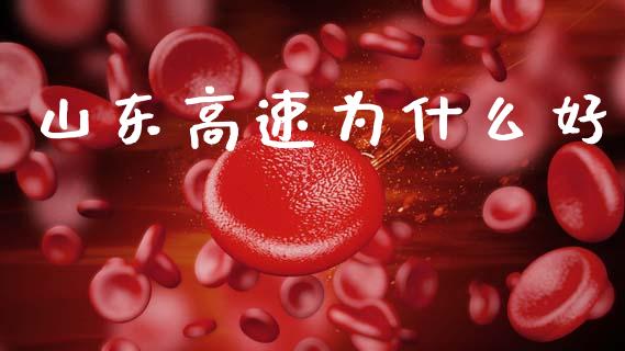 山东高速为什么好_https://wap.ycdhulan.com_财经新闻_第1张