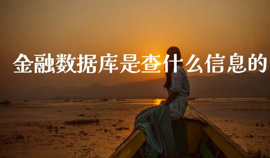 金融数据库是查什么信息的_https://wap.ycdhulan.com_货币市场_第1张