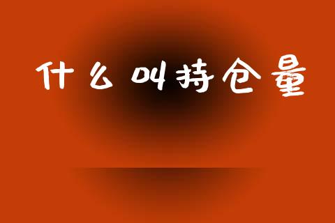 什么叫持仓量_https://wap.ycdhulan.com_货币市场_第1张