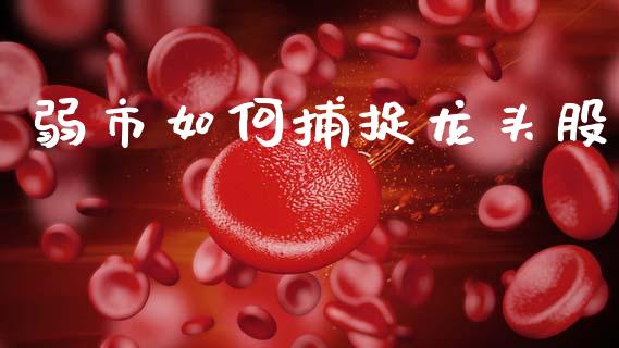 弱市如何捕捉龙头股_https://wap.ycdhulan.com_财经新闻_第1张