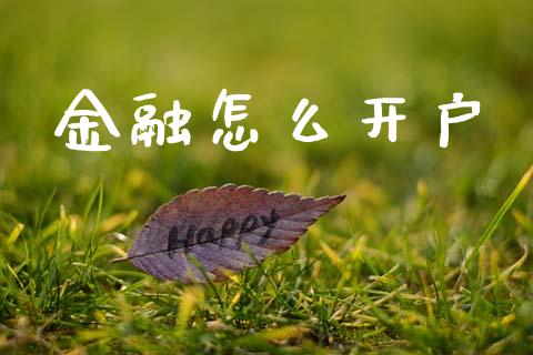 金融怎么开户_https://wap.ycdhulan.com_国际财经_第1张