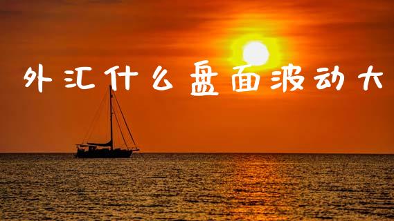 外汇什么盘面波动大_https://wap.ycdhulan.com_财经新闻_第1张
