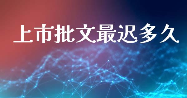 上市批文最迟多久_https://wap.ycdhulan.com_投资基金_第1张