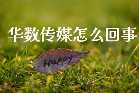华数传媒怎么回事_https://wap.ycdhulan.com_金融咨询_第1张