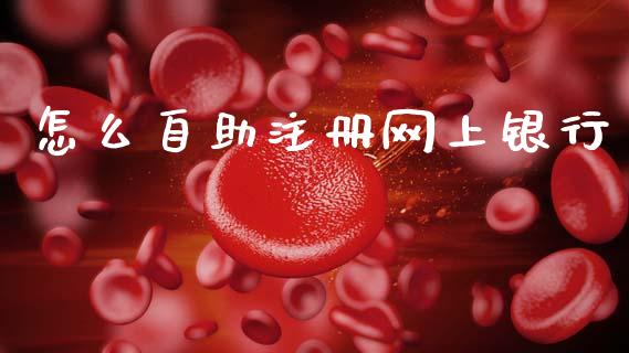 怎么自助注册网上银行_https://wap.ycdhulan.com_金融咨询_第1张