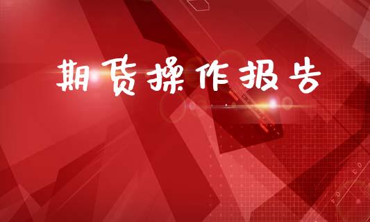 期货操作报告_https://wap.ycdhulan.com_财务投资_第1张