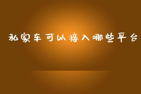 私家车可以接入哪些平台_https://wap.ycdhulan.com_国际财经_第1张