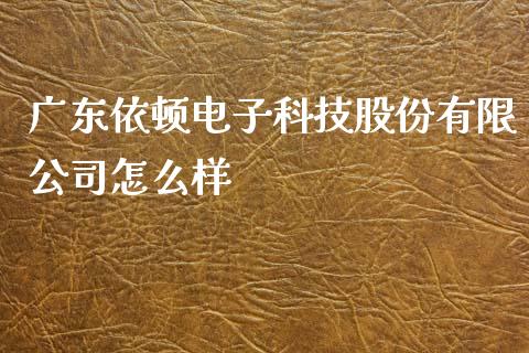 广东依顿电子科技股份有限公司怎么样_https://wap.ycdhulan.com_投资基金_第1张