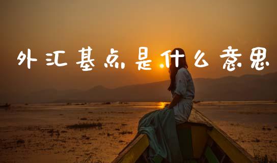 外汇基点是什么意思_https://wap.ycdhulan.com_财务投资_第1张