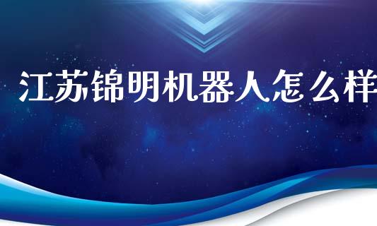 江苏锦明机器人怎么样_https://wap.ycdhulan.com_金融咨询_第1张