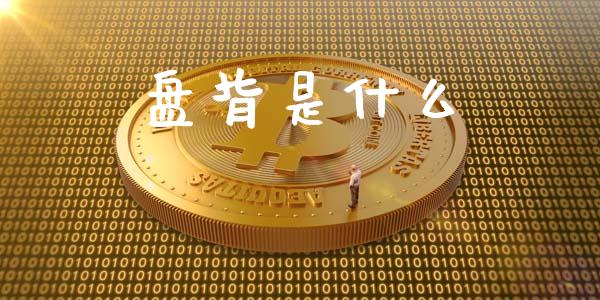 盘背是什么_https://wap.ycdhulan.com_货币市场_第1张