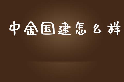中金国建怎么样_https://wap.ycdhulan.com_金融咨询_第1张