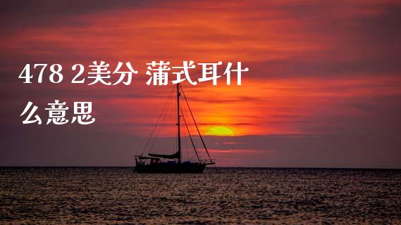478 2美分 蒲式耳什么意思_https://wap.ycdhulan.com_国际财经_第1张