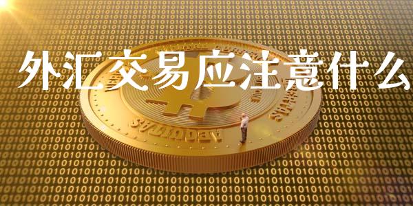 外汇交易应注意什么_https://wap.ycdhulan.com_国际财经_第1张