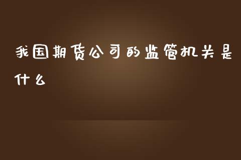 我国期货公司的监管机关是什么_https://wap.ycdhulan.com_国际财经_第1张