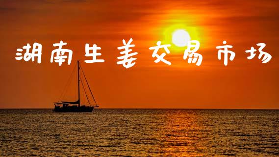 湖南生姜交易市场_https://wap.ycdhulan.com_国际财经_第1张