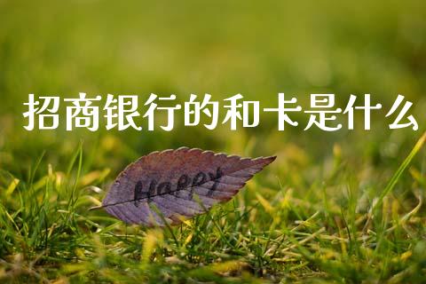 招商银行的和卡是什么_https://wap.ycdhulan.com_金融咨询_第1张