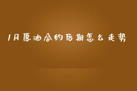1月原油合约后期怎么走势_https://wap.ycdhulan.com_投资基金_第1张
