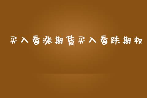 买入看涨期货买入看跌期权_https://wap.ycdhulan.com_国际财经_第1张