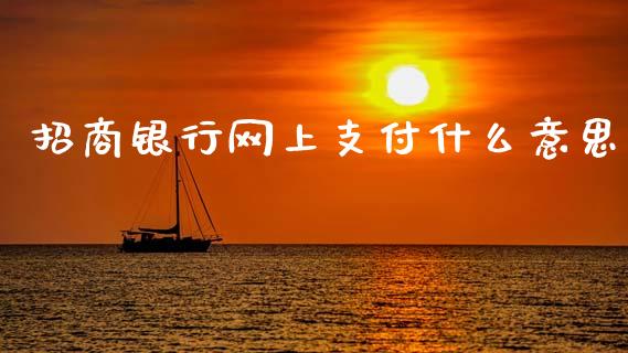 招商银行网上支付什么意思_https://wap.ycdhulan.com_财务投资_第1张