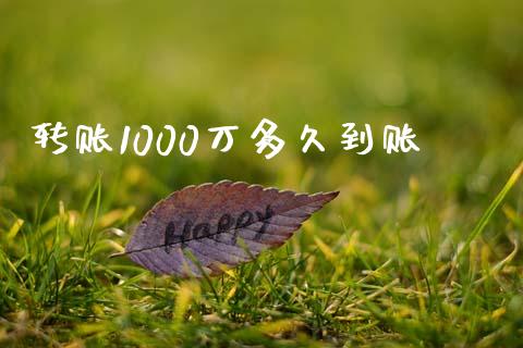 转账1000万多久到账_https://wap.ycdhulan.com_投资基金_第1张