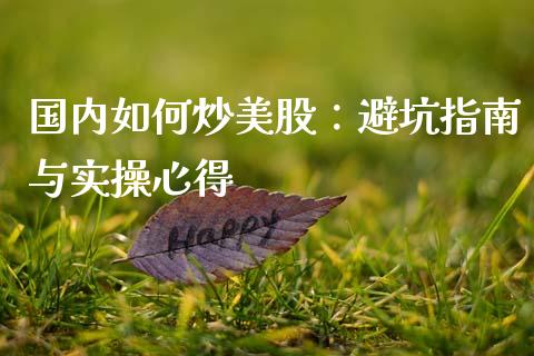 国内如何炒美股：避坑指南与实操心得_https://wap.ycdhulan.com_财经新闻_第1张