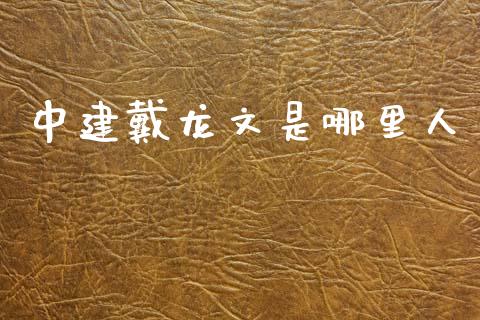 中建戴龙文是哪里人_https://wap.ycdhulan.com_财务投资_第1张
