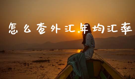 怎么查外汇年均汇率_https://wap.ycdhulan.com_财经新闻_第1张