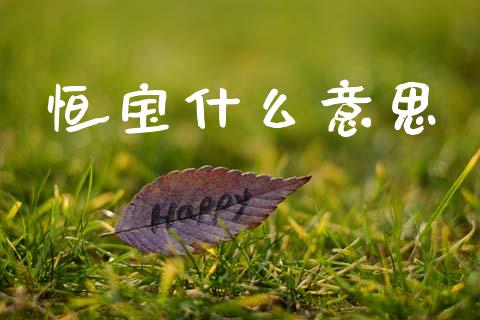 恒宝什么意思_https://wap.ycdhulan.com_投资基金_第1张
