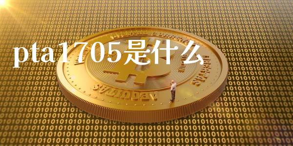 pta1705是什么_https://wap.ycdhulan.com_国际财经_第1张