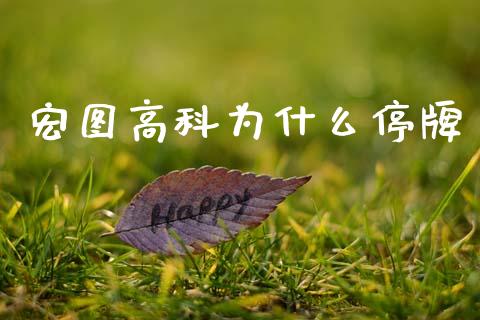 宏图高科为什么停牌_https://wap.ycdhulan.com_财务投资_第1张