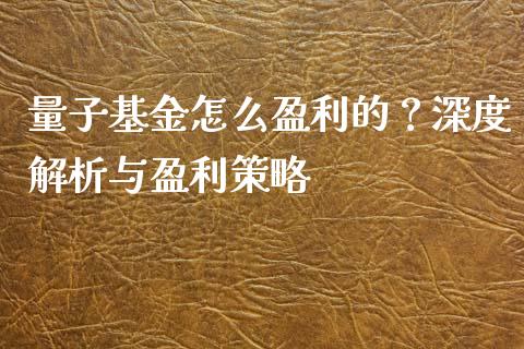 量子基金怎么盈利的？深度解析与盈利策略_https://wap.ycdhulan.com_财经新闻_第1张