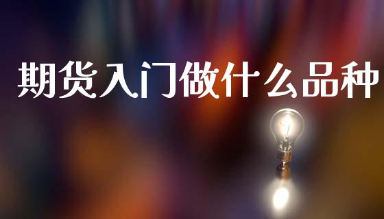 期货入门做什么品种_https://wap.ycdhulan.com_金融咨询_第1张