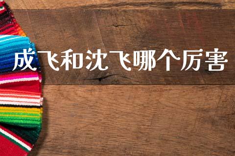 成飞和沈飞哪个厉害_https://wap.ycdhulan.com_财经新闻_第1张