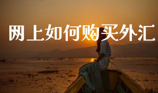 网上如何购买外汇_https://wap.ycdhulan.com_财务投资_第1张