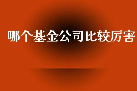 哪个基金公司比较厉害_https://wap.ycdhulan.com_财经新闻_第1张