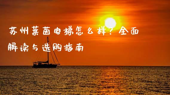 苏州莱茵电梯怎么样？全面解读与选购指南_https://wap.ycdhulan.com_国际财经_第1张