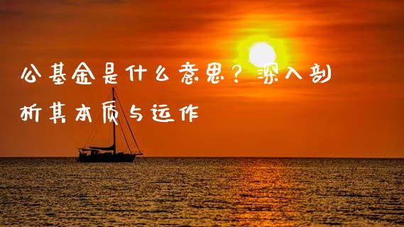 公基金是什么意思？深入剖析其本质与运作_https://wap.ycdhulan.com_投资基金_第1张