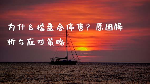 为什么楼盘会停售？原因解析与应对策略_https://wap.ycdhulan.com_财务投资_第1张