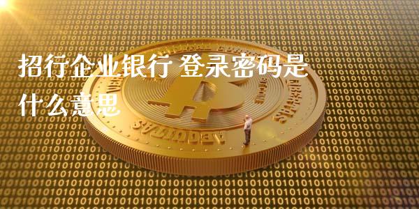 招行企业银行 登录密码是什么意思_https://wap.ycdhulan.com_金融咨询_第1张