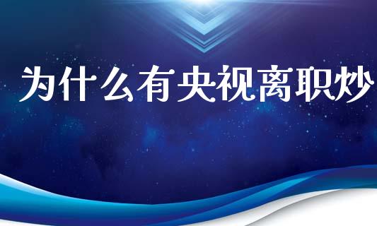 为什么有央视离职炒_https://wap.ycdhulan.com_财务投资_第1张
