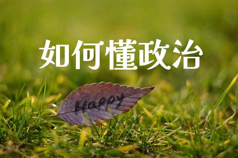 如何懂政治_https://wap.ycdhulan.com_国际财经_第1张