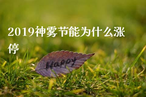 2019神雾节能为什么涨停_https://wap.ycdhulan.com_投资基金_第1张