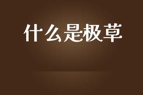 什么是极草_https://wap.ycdhulan.com_投资基金_第1张