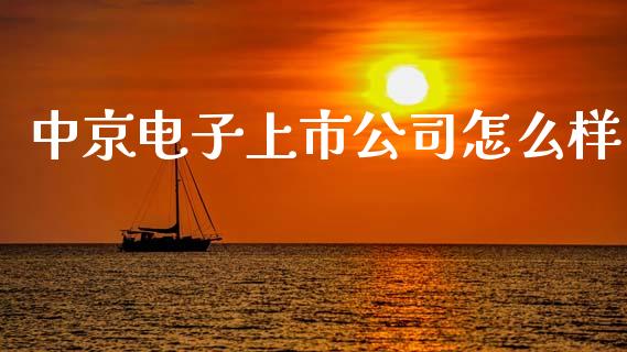 中京电子上市公司怎么样_https://wap.ycdhulan.com_货币市场_第1张