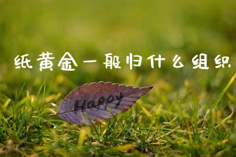纸黄金一般归什么组织_https://wap.ycdhulan.com_投资基金_第1张