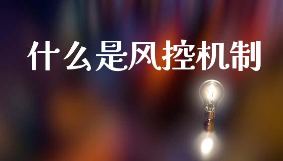 什么是风控机制_https://wap.ycdhulan.com_财务投资_第1张