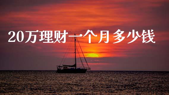 20万理财一个月多少钱_https://wap.ycdhulan.com_金融咨询_第1张