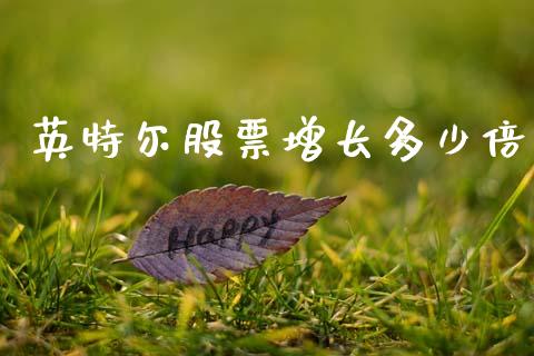英特尔股票增长多少倍_https://wap.ycdhulan.com_财务投资_第1张